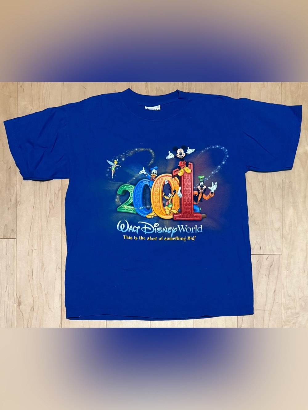 VTG Walt Disney World 2001 Short Sleeve T-Shirt Mickey Mouse Tinker Bell Small